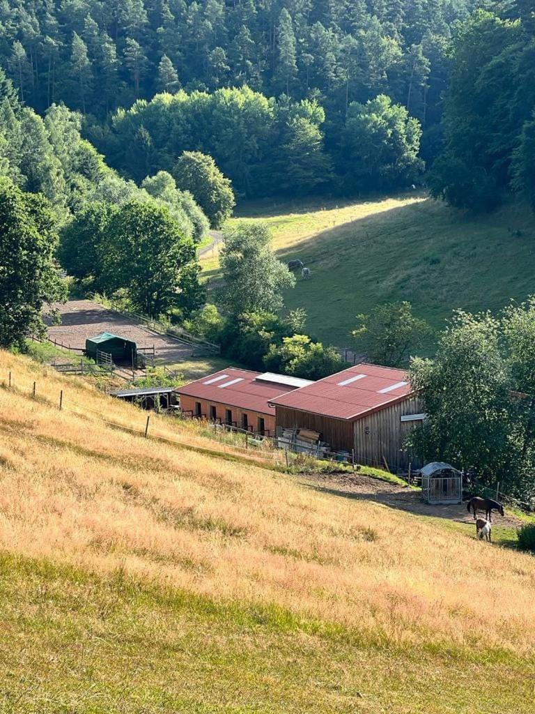 Beim Pferdehof